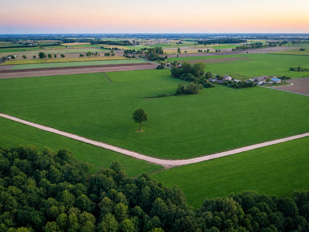 14 działek 5 minut od Jeziora Lubieńskiego | 1000-1499 m2 - 4