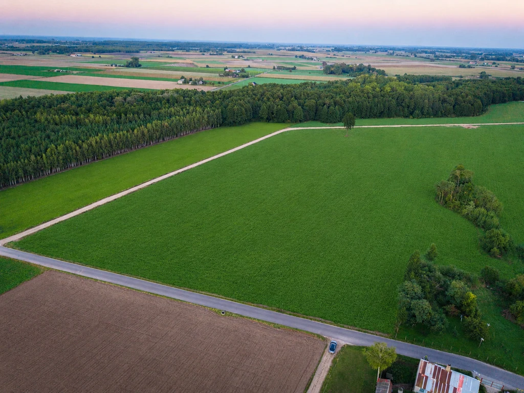 14 działek 5 minut od Jeziora Lubieńskiego | 1000-1499 m2 - 5