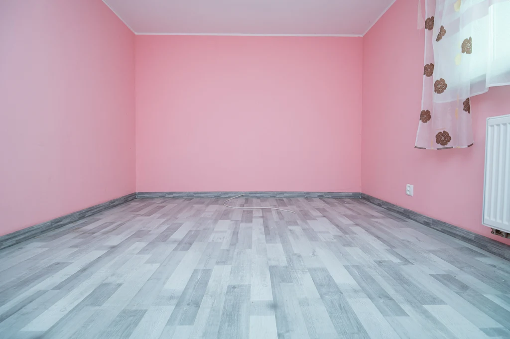 Dom pod Grudziądzem | 1890 m² działki | 5 pokoi | 4 garaże - 2