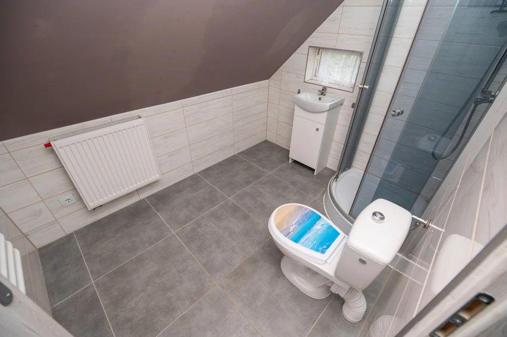 Dom pod Grudziądzem | 1890 m² działki | 5 pokoi | 4 garaże - 4