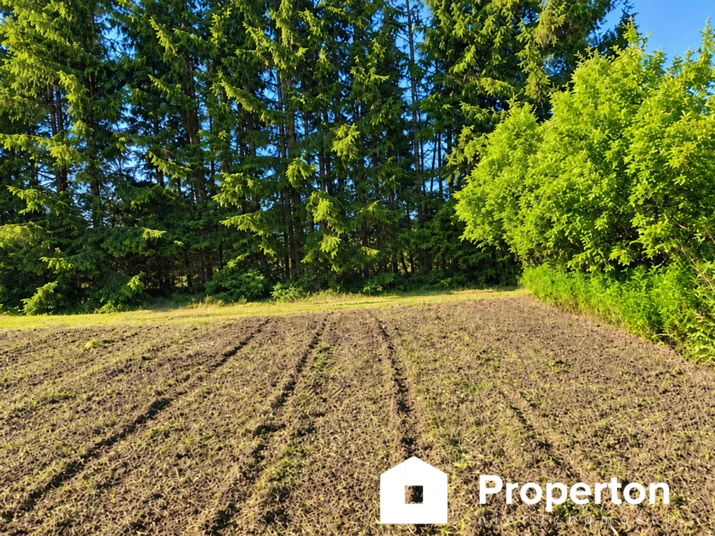 Borzęcin Duży | 3094 m² | 1MNW | działka pod dom | 1 249 000 zł - 4