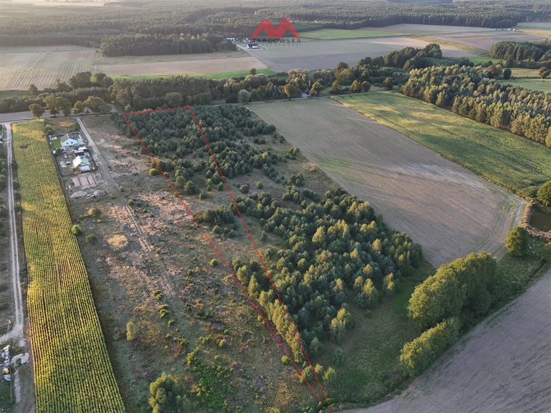 ŻELEŹNICA - DZIAŁKA - dd_e7fa6852_zs_MARG-GS-310_1.jpg
