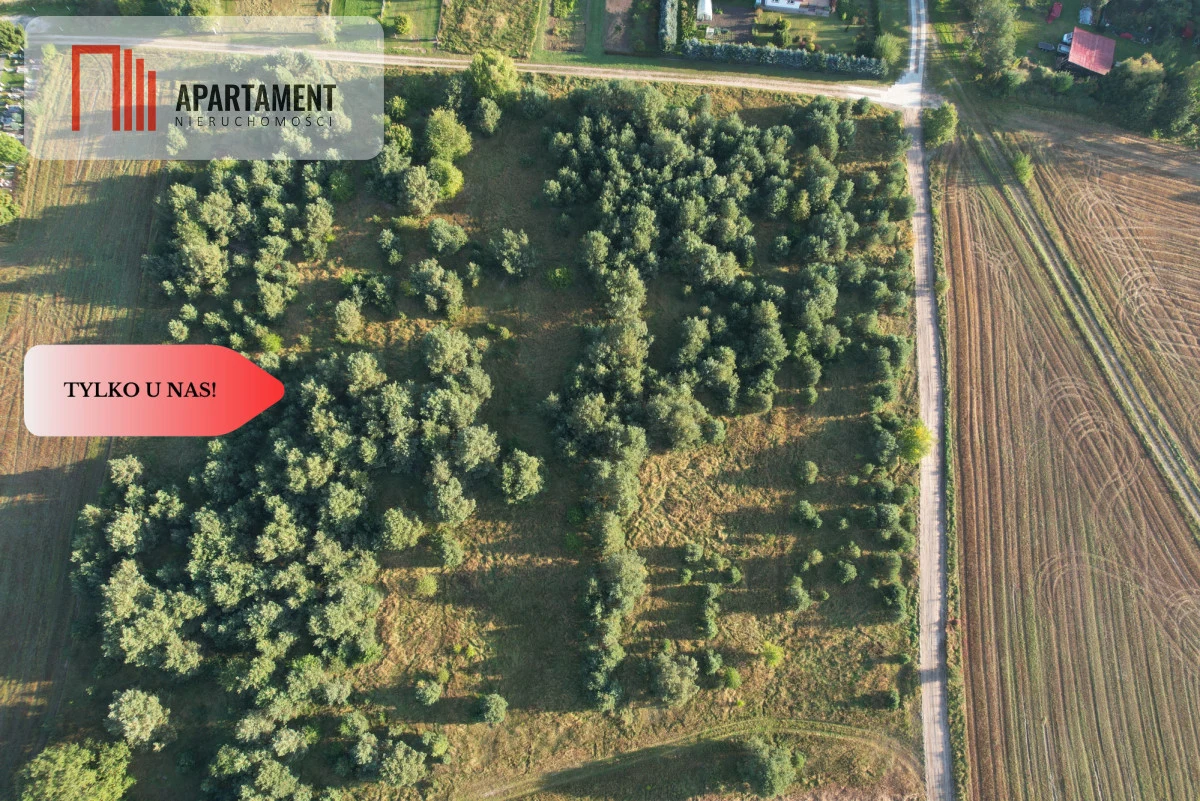 Tylko u Nas! Duże działki z warunkami zabudowy! - 2