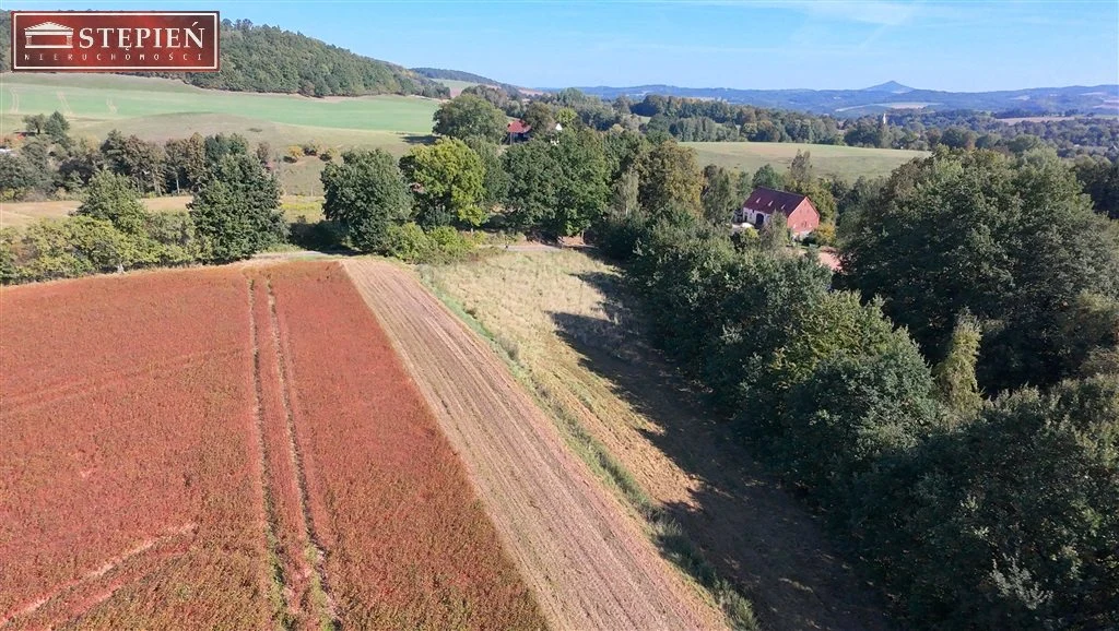 DZIAŁKA BUDOWLANA 3259 m² - MARCZÓW, GMINA WLEŃ - 3