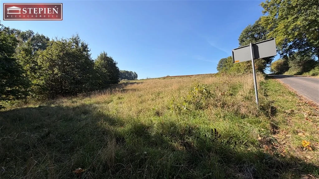 DZIAŁKA BUDOWLANA 3259 m² - MARCZÓW, GMINA WLEŃ - 5
