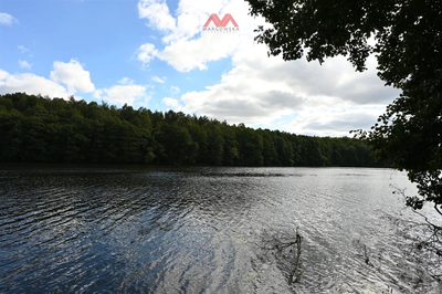 DZIAŁKA W PTUSZY, GM. TARNÓWKA, POWIAT ZŁOTOWSKI - 2