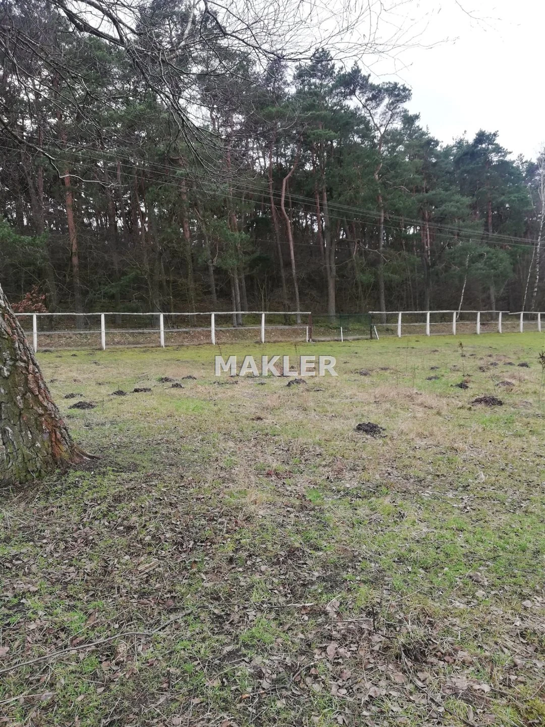Działka pod lasem w Tarkowie Dolnym - dd_e1dabfe5_zs_MAK-GS-32208_1.jpg