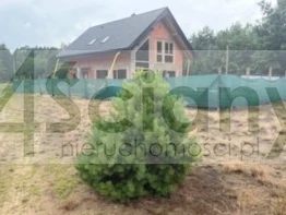 Działka w pobliżu lasu - 3