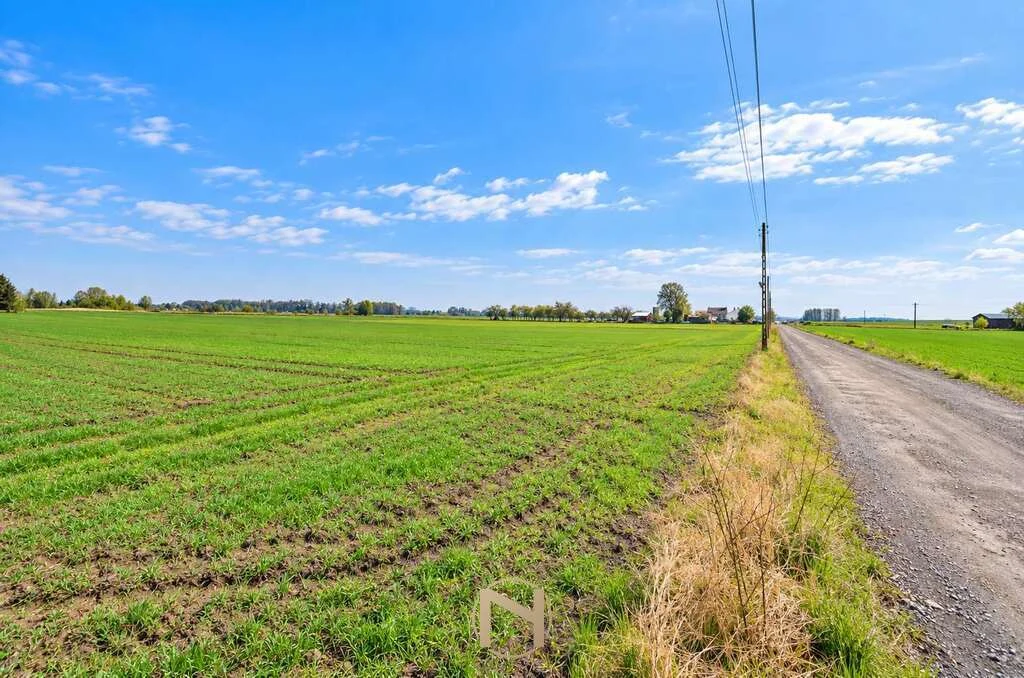 Działka na sprzedaż - 4