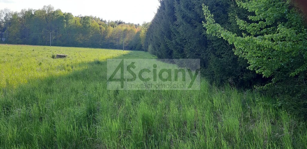 Postaw bliźniaka na dużej działce w Ruścu