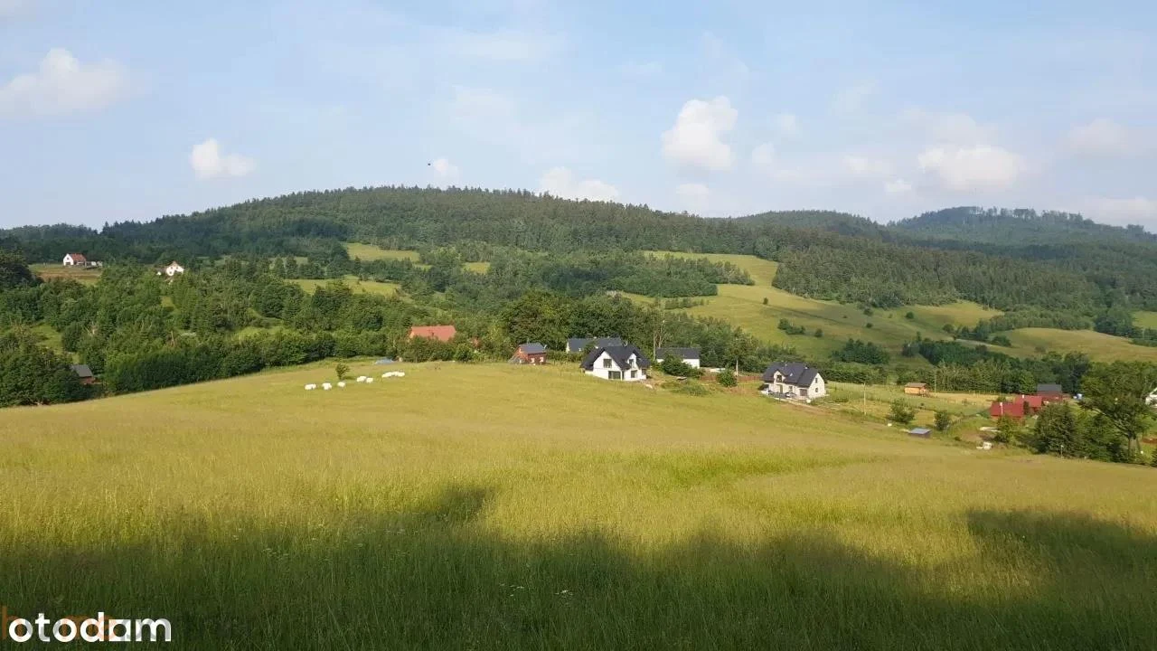 Działka w Górach Sowich - 3