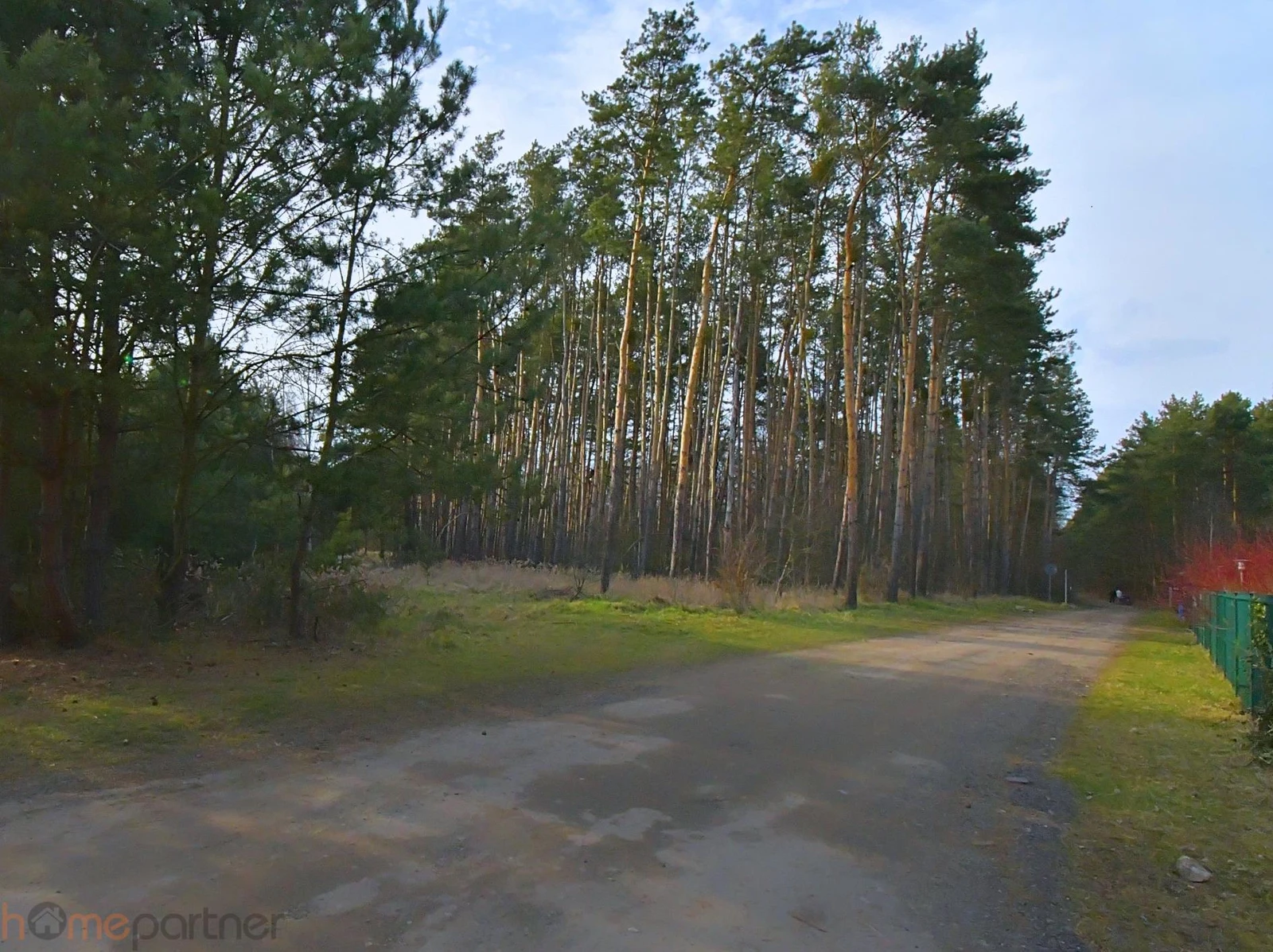 Piękna działka blisko lasu, Miłoszyce - 3