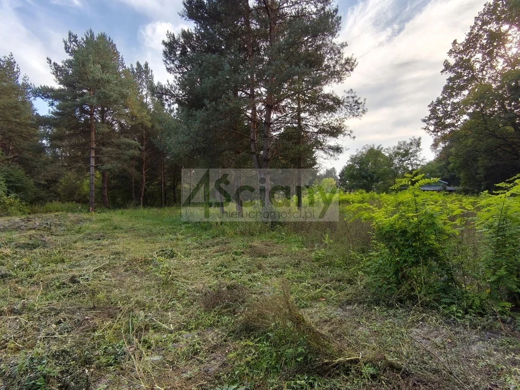 DZIAŁKA BUDOWLANA | 1 500 M² | SZCZĘSNE