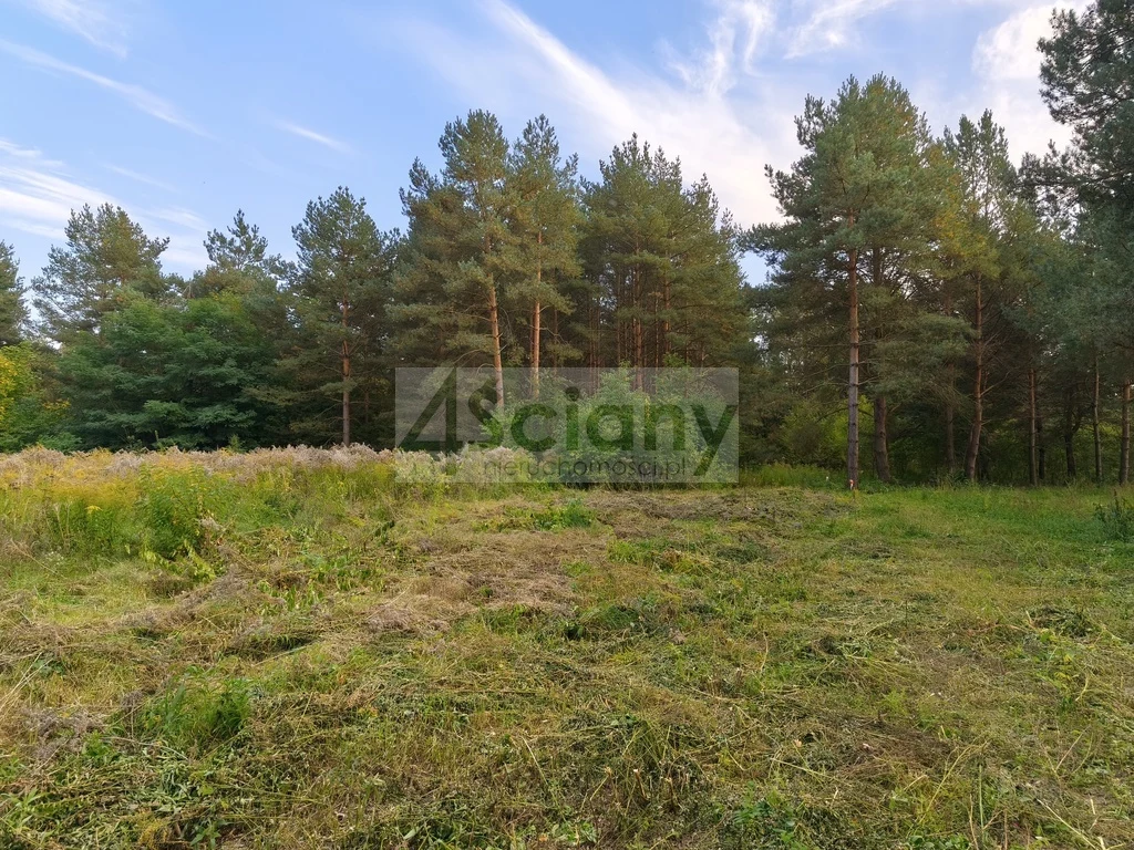 DZIAŁKA BUDOWLANA | 1 500 M² | SZCZĘSNE - 3