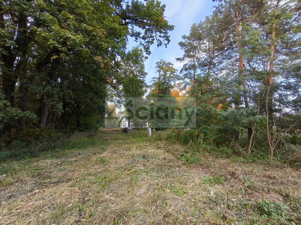 DZIAŁKA BUDOWLANA | 1 500 M² | SZCZĘSNE - 4