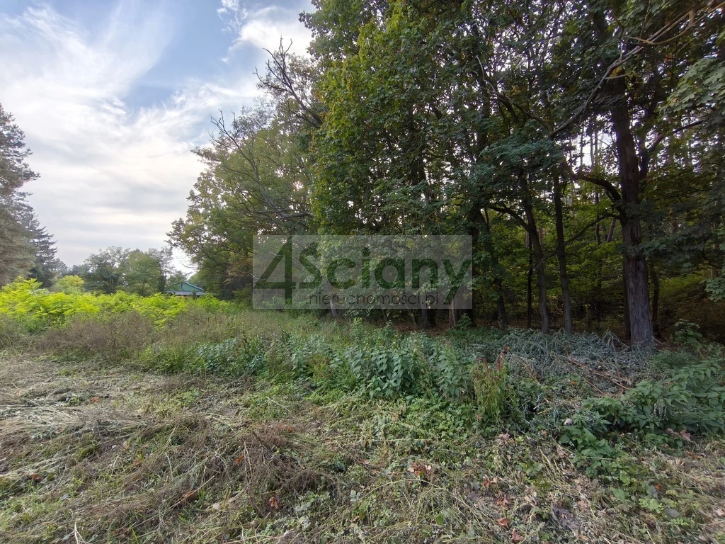 DZIAŁKA BUDOWLANA | 1 500 M² | SZCZĘSNE - 5