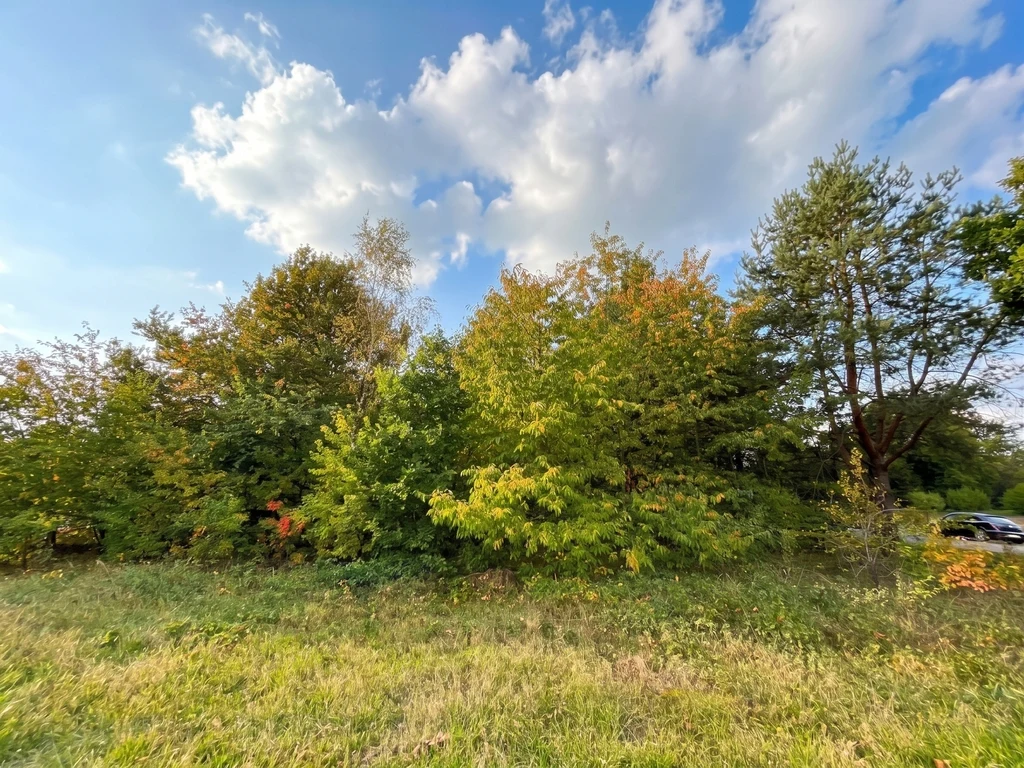 Działka budowlana 3000 m² | Brogi k. Ldzania | WZ | Dolina Grabi