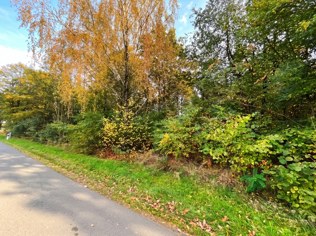 Działka budowlana 3000 m² | Brogi k. Ldzania | WZ | Dolina Grabi - 4