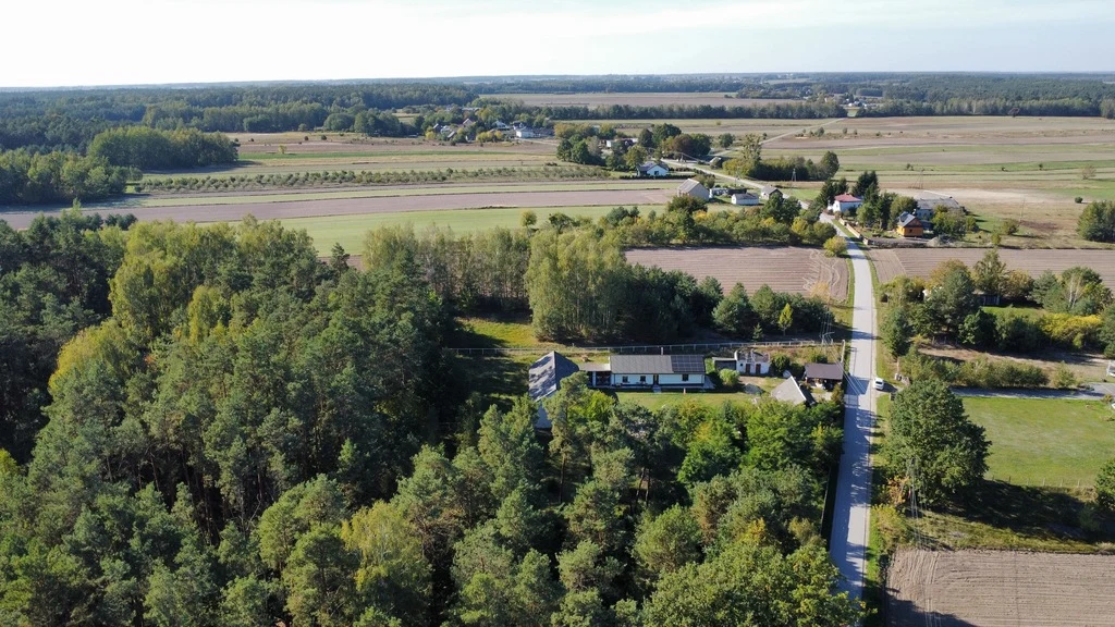 Siedlisko 1,1 ha (dwa domy) przy lesie - Siekierka Nowa gm. Chotcza. - 4